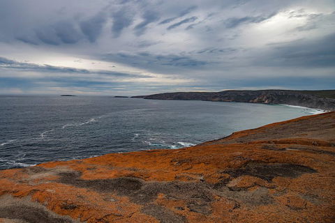 Kangaroo Island Luxury Small Group 'Flinders Chase Focus' Full Day Tour - New Castle Holiday 0