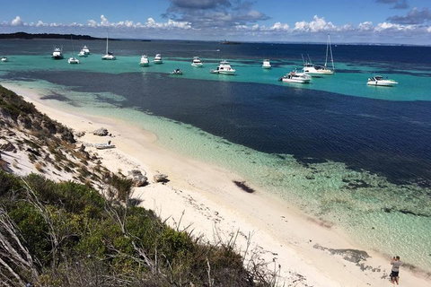 Experience Rottnest With Ferry & Bike Hire From Perth Or Fremantle - New Castle Holiday 0