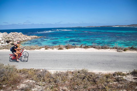 Experience Rottnest With Ferry & Bike Hire From Perth Or Fremantle - New Castle Holiday 2