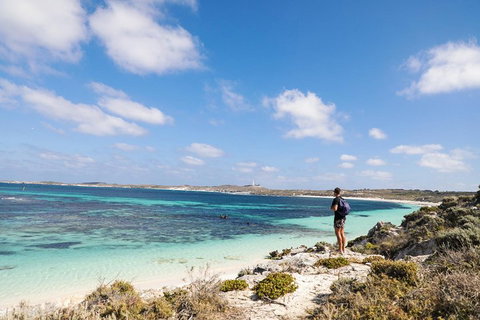 Experience Rottnest With Ferry & Bike Hire From Perth Or Fremantle - New Castle Holiday 3