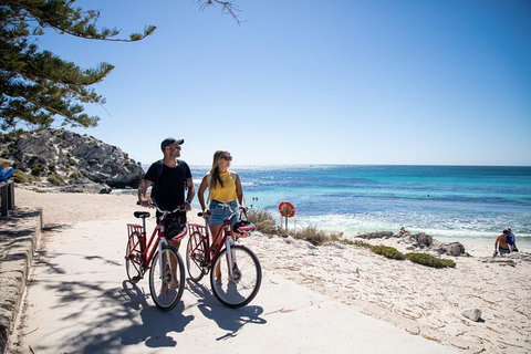 Experience Rottnest With Ferry & Bike Hire From Perth Or Fremantle - New Castle Holiday 4