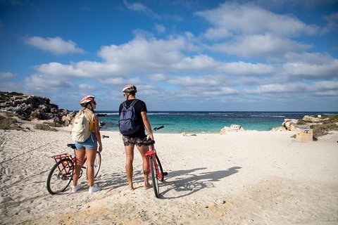 Experience Rottnest With Ferry & Bike Hire From Perth Or Fremantle - New Castle Holiday 5