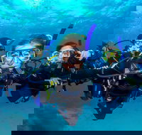 Great Barrier Reef Diving and Snorkeling Cruise from Cairns - New Castle Holiday
