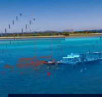 Ocean Free Green Island  Great Barrier Reef Snorkel Cruise Cairns 25 guests - New Castle Holiday