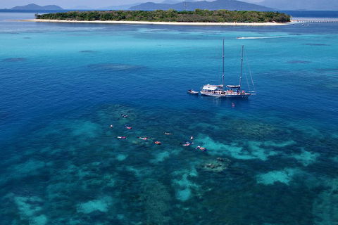 Ocean Free Green Island & Great Barrier Reef Snorkel Cruise, Cairns 25 Guests - New Castle Holiday 2