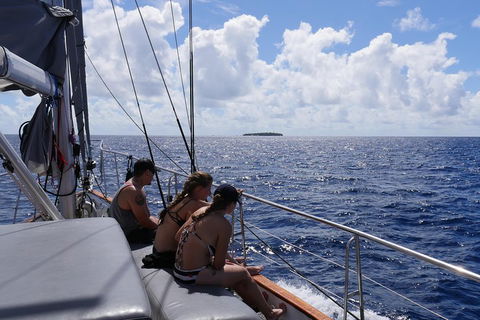Ocean Free Green Island & Great Barrier Reef Snorkel Cruise, Cairns 25 Guests - New Castle Holiday 4