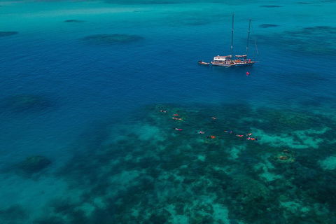 Ocean Free Green Island & Great Barrier Reef Snorkel Cruise, Cairns 25 Guests - New Castle Holiday 5