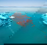 Ocean Freedom Great Barrier Reef Personal Luxury Snorkel  Dive Cruise Cairns - New Castle Holiday