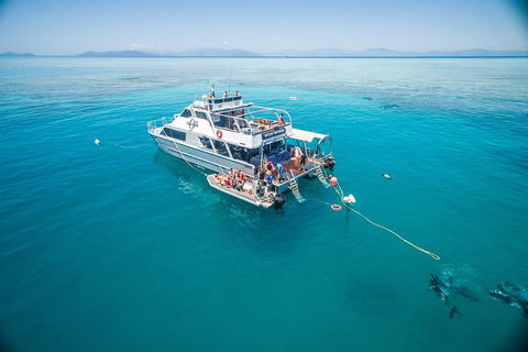 Ocean Freedom Great Barrier Reef Personal Luxury Snorkel & Dive Cruise, Cairns - New Castle Holiday 0