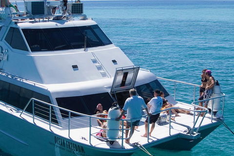 Ocean Freedom Great Barrier Reef Personal Luxury Snorkel & Dive Cruise, Cairns - New Castle Holiday 1