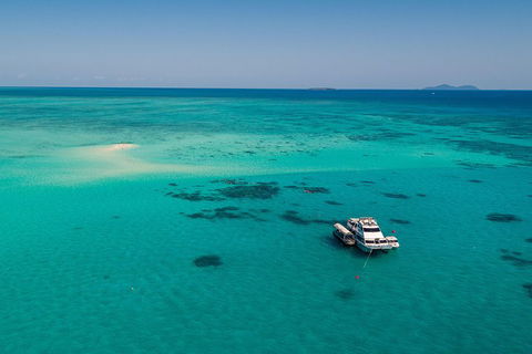 Ocean Freedom Great Barrier Reef Personal Luxury Snorkel & Dive Cruise, Cairns - New Castle Holiday 2