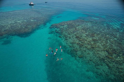 Ocean Freedom Great Barrier Reef Personal Luxury Snorkel & Dive Cruise, Cairns - New Castle Holiday 3