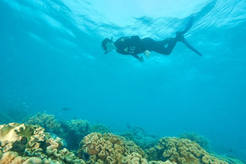 Ocean Freedom Great Barrier Reef Personal Luxury Snorkel & Dive Cruise, Cairns - New Castle Holiday 5