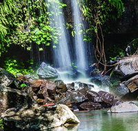 Full Day Small Group Luxury Tour to Tamborine Mountain - New Castle Holiday