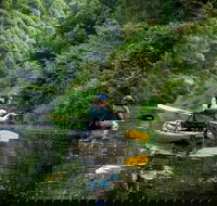 Byron Bay Rainforest Fishing - New Castle Holiday