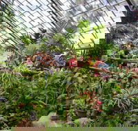 Australian Butterfly Sanctuary - New Castle Holiday