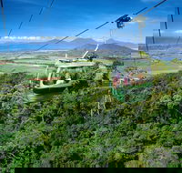 Best of Kuranda Including Skyrail Kuranda Scenic Railway and Rainforestation - New Castle Holiday