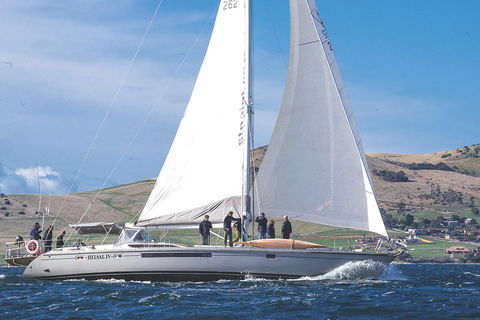 Half-Day Sailing On The Derwent River From Hobart - New Castle Holiday 1