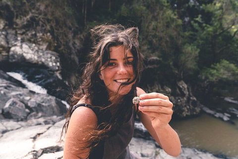 Springbrook AndTamborine Rainforest Tour Incl Natural Bridge And Glow Worm Cave - New Castle Holiday 1