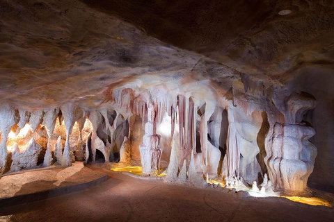 Springbrook AndTamborine Rainforest Tour Incl Natural Bridge And Glow Worm Cave - New Castle Holiday 4