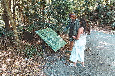 Springbrook AndTamborine Rainforest Tour Incl Natural Bridge And Glow Worm Cave - New Castle Holiday 5