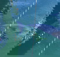 Dolphin Cruise from Adelaide with Optional Dolphin Swim - New Castle Holiday