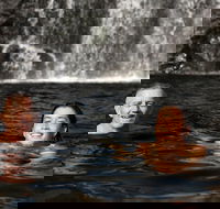 3 Day 4WD Dragonfly Dreaming Top End Safari - New Castle Holiday