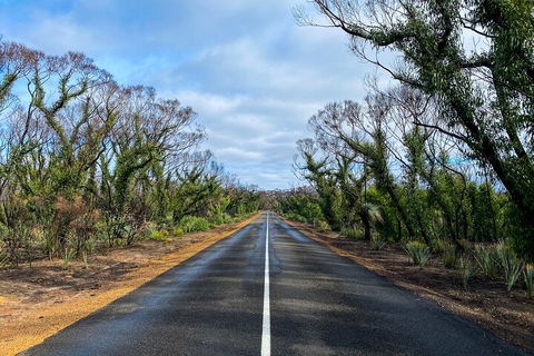 2 Day Ultimate Kangaroo Island With Return Ferry - New Castle Holiday 4