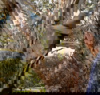 NEW TOUR - Kangaroo Island Road to Recovery Tour 1 Day/1 Night - New Castle Holiday