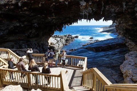 Full Day Flinders Chase Tour From Kangaroo Island - New Castle Holiday 1