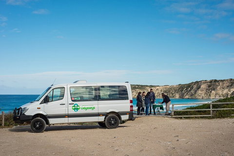 Full Day Flinders Chase Tour From Kangaroo Island - New Castle Holiday 3