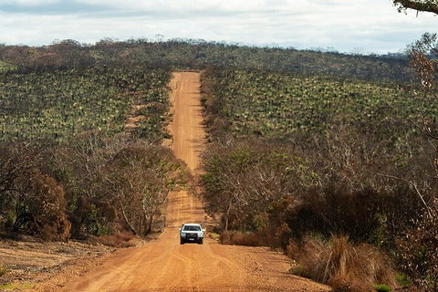 Full Day Flinders Chase Tour From Kangaroo Island - New Castle Holiday 4