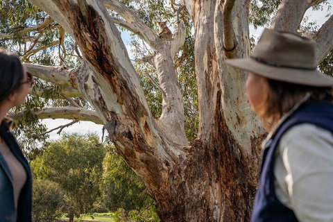 Full Day Flinders Chase Tour From Kangaroo Island - New Castle Holiday 5