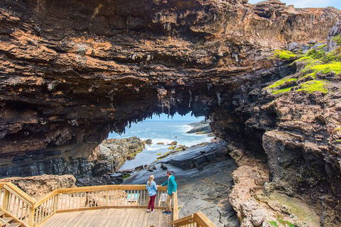 Full-Day Kangaroo Island Experience Departing From Kangaroo Island - New Castle Holiday 3
