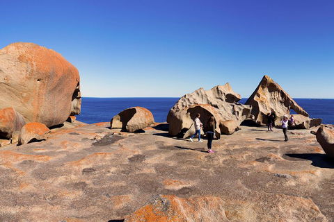 Full-Day Kangaroo Island Experience Departing From Kangaroo Island - New Castle Holiday 4