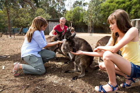 Full-Day Kangaroo Island Experience Departing From Kangaroo Island - New Castle Holiday 5