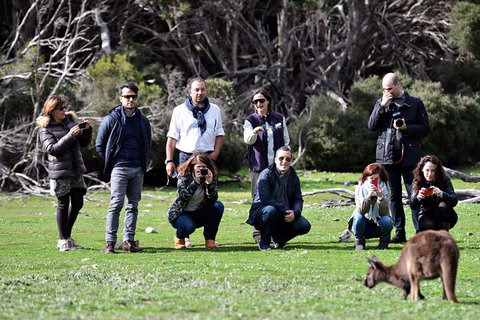 Small-Group Kangaroo Island 4WD Tour From Adelaide - New Castle Holiday 2