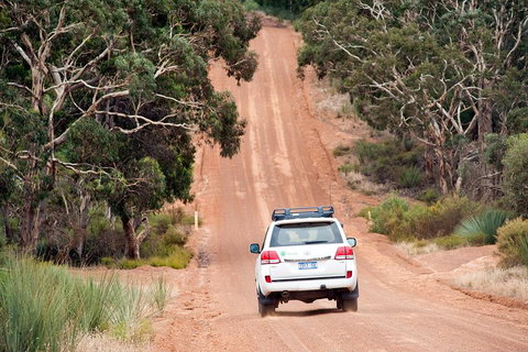 Small-Group Kangaroo Island 4WD Tour From Adelaide - New Castle Holiday 3