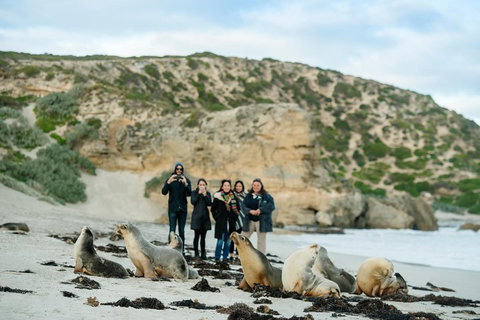 Small-Group Kangaroo Island 4WD Tour From Adelaide - New Castle Holiday 4
