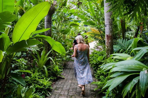 Cairns City Sights And Surrounds Tour - New Castle Holiday 2