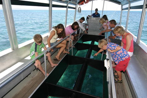 Cairns City Sights And Surrounds Tour - New Castle Holiday 5