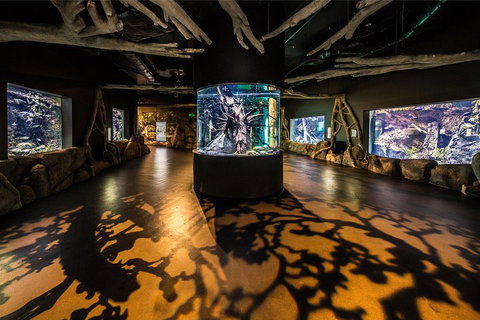 Cairns Aquarium Admission Ticket - New Castle Holiday 1