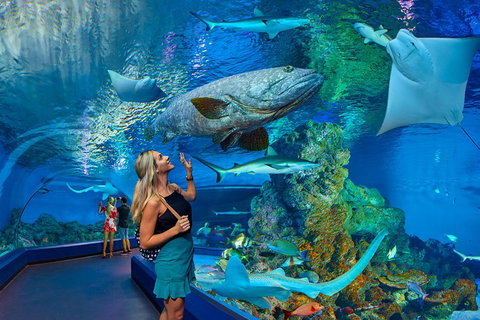 Cairns Aquarium Admission Ticket - New Castle Holiday 3