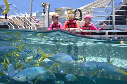 Outer Reef Pontoon Experience From Cairns - New Castle Holiday 0