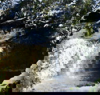 Cradle Mountain Day Tour from Launceston Including Lunch - New Castle Holiday