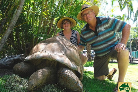 Small-Group Australia Zoo Day Trip From Brisbane - New Castle Holiday 1