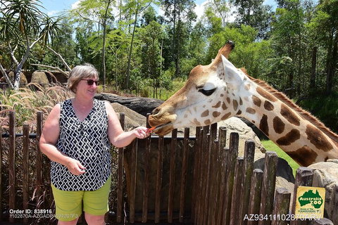 Small-Group Australia Zoo Day Trip From Brisbane - New Castle Holiday 2