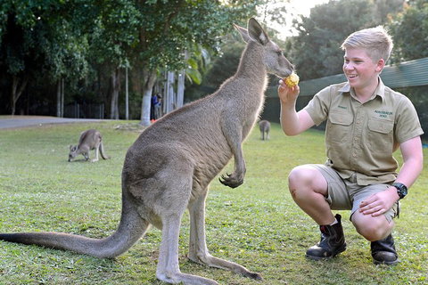 Small-Group Australia Zoo Day Trip From Brisbane - New Castle Holiday 4