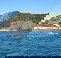 Kayaking with Dolphins in Byron Bay Guided Tour - New Castle Holiday