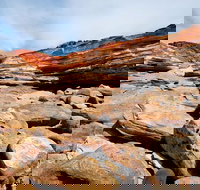 Broome City Sightseeing Tour with Optional Camel Ride - New Castle Holiday